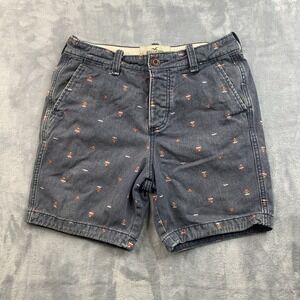 Hollister Men's Blue Aztex Print Chino Shorts Size 28